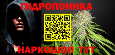 СК Моздок
