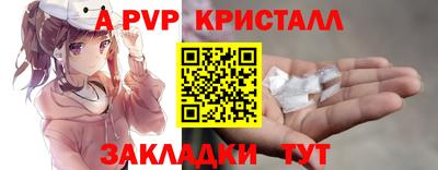 СК Моздок