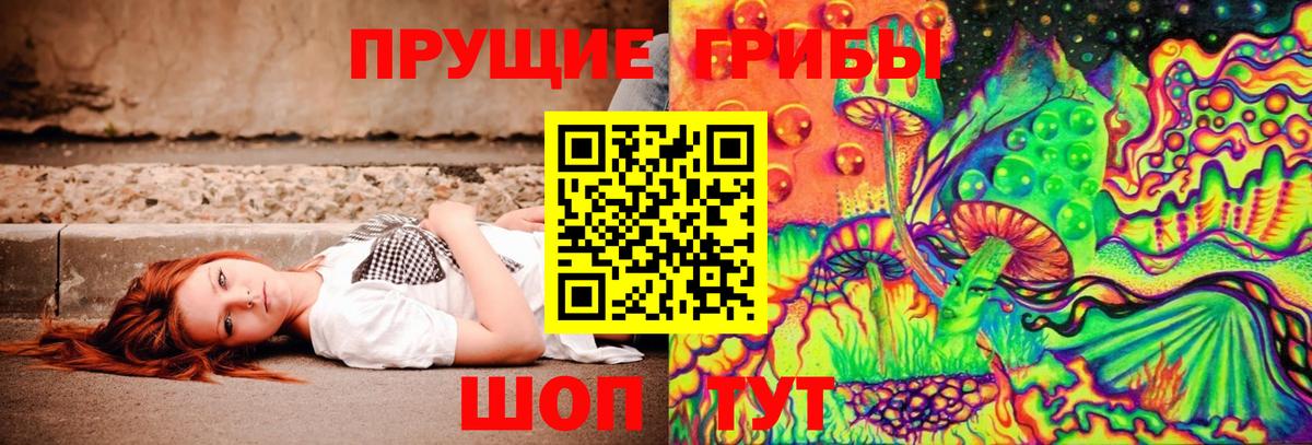 Псилоцибиновые грибы Cubensis  Вход с VPN  Тайшет 